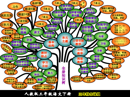 三年级下册知识树