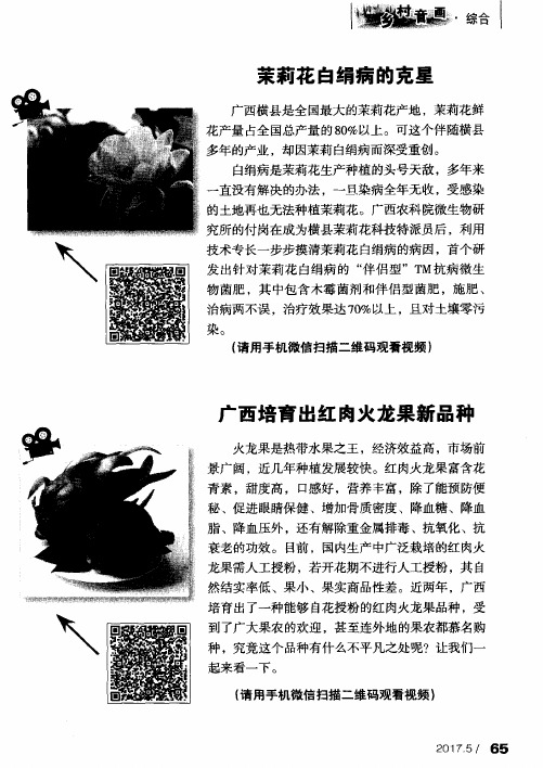 茉莉花白绢病的克星