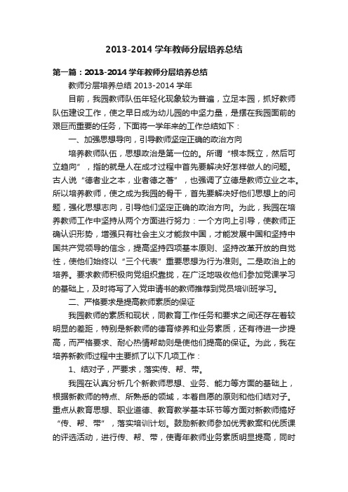 2013-2014学年教师分层培养总结