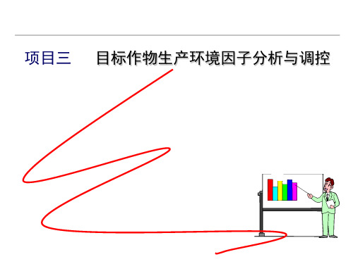 土壤矿物质与岩石风化