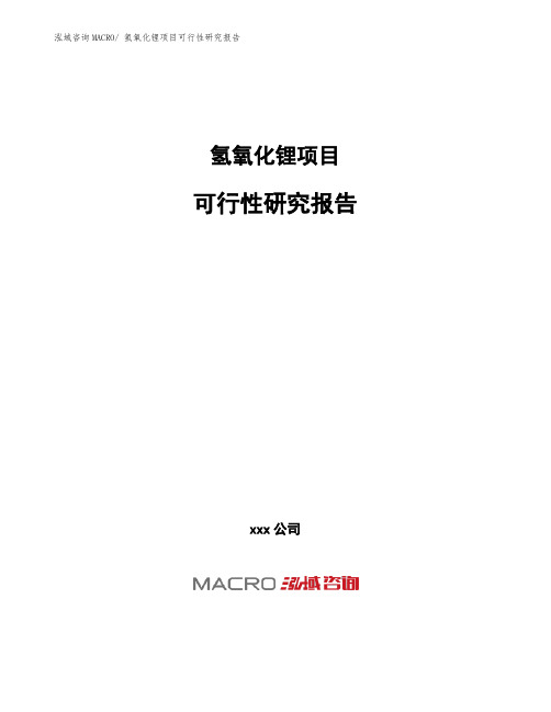 氢氧化锂项目可行性研究报告