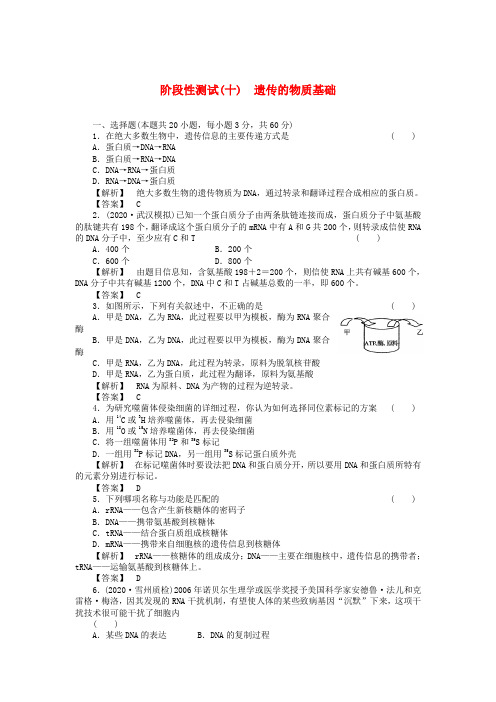 2020届高考生物第一轮复习满分练兵场 阶段性测试(十)