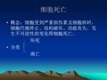 病理-细胞死亡