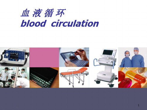 血液循环bloodcirculation