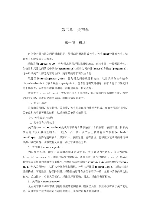 第二章 关节学
