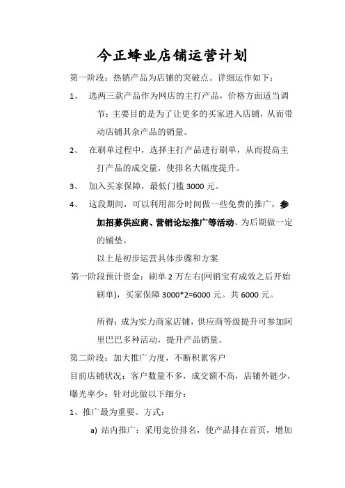阿里巴巴初步运营方案