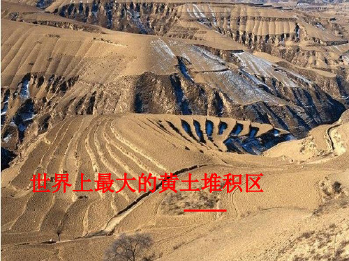 《世界最大的黄土堆积区——黄土高原》3PPT课件