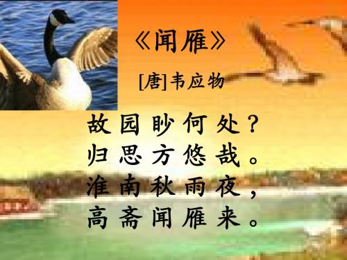故园渺何处-闻雁