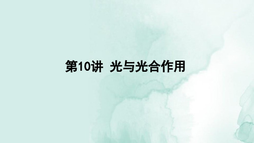 高三生物一轮复习精品课件5：第10讲 光与光合作用