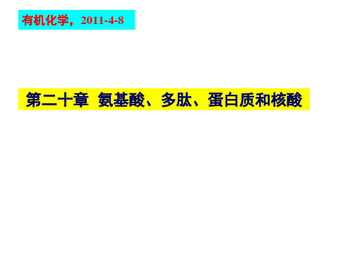 有机化学：第二十章  氨基酸、多肽、蛋白质和核酸