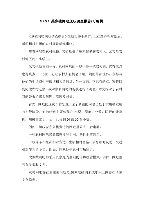 XXXX某乡镇网吧现状调查报告(可编辑).doc