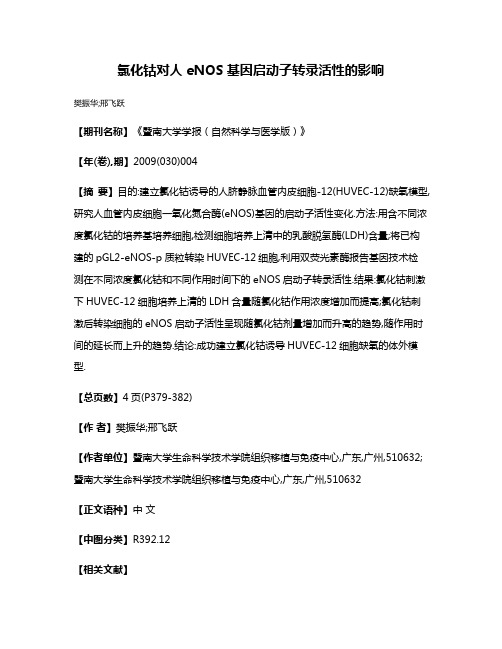 氯化钴对人eNOS基因启动子转录活性的影响