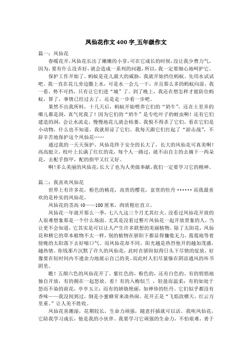 凤仙花作文400字_五年级作文