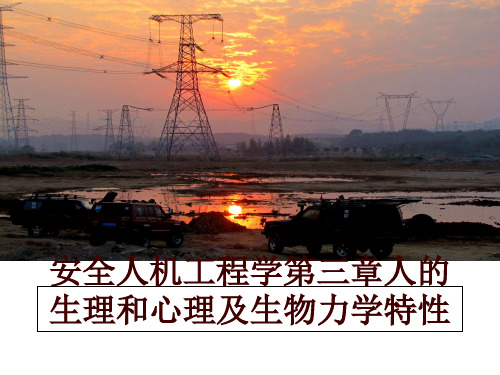 最新安全人机工程学第三章人的生理和心理及生物力学特性PPT课件