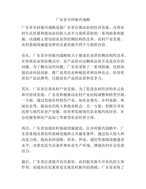 广东省乡村振兴战略