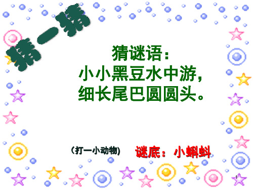 儿童国画《小蝌蚪》(课堂PPT)