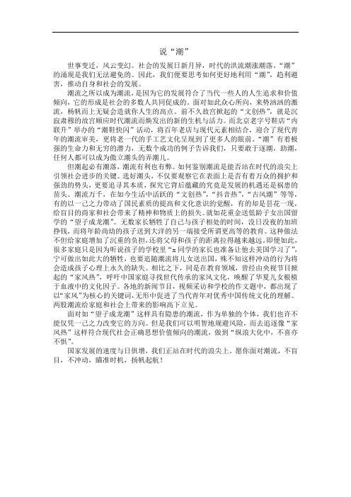 高中语文作文：说”潮“