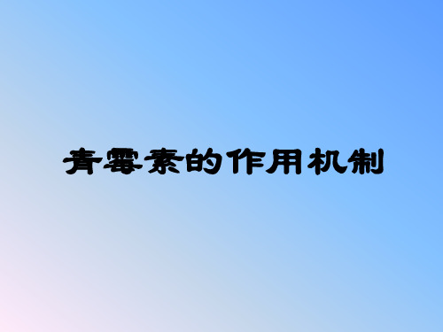 青霉素的作用机制