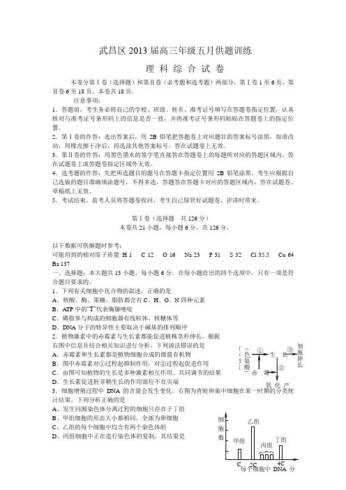 武汉武昌区高三五月供题训练理综