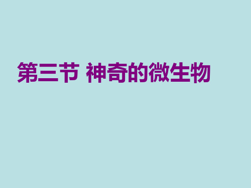 苏教版生物八年级上册5.14.3神奇的微生物 课件