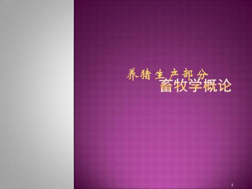 精简畜牧学养猪部分ppt课件