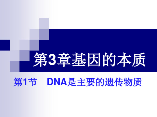 (新教材)高中生物《DNA是主要的遗传物质》PPT精品课件人教版1