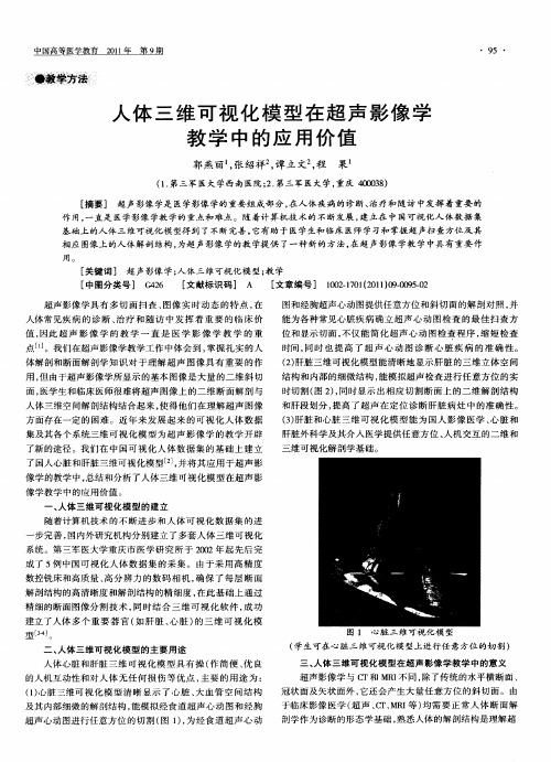 人体三维可视化模型在超声影像学教学中的应用价值