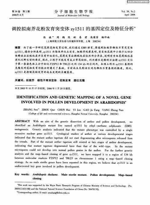 调控拟南芥花粉发育突变体zy1511的基因定位及特征分析