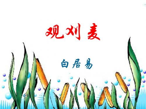 观刈麦课件上课用