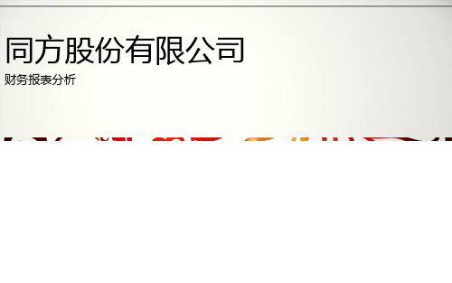 同方股份有限公司财务报表分析