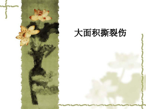 大面积撕裂伤ppt课件