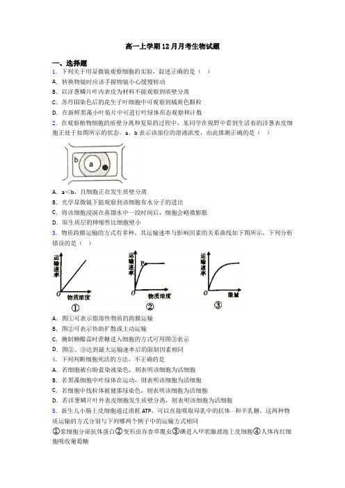 高一上学期12月月考生物试题