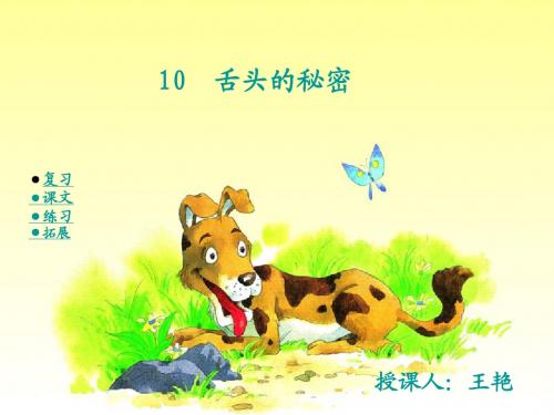 2017春湘教版语文一年级下册第21课《舌头的秘密》ppt课件2