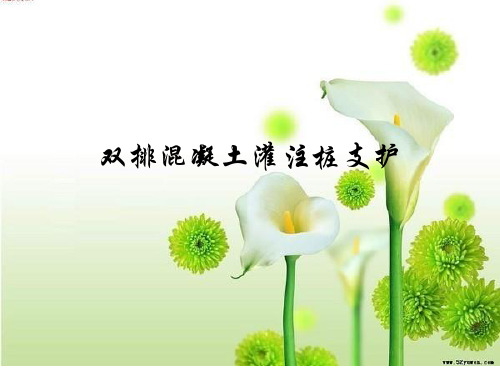 双排桩ppt课件
