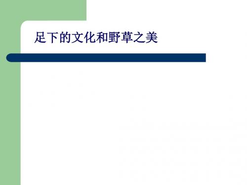 【高中语文】足下的文化与野草之美ppt精品课件8(2份)