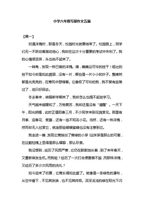 小学六年级写景作文五篇