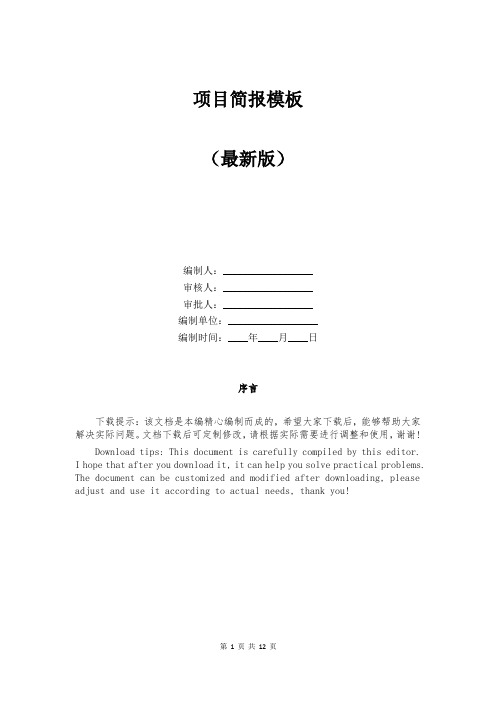 项目简报模板