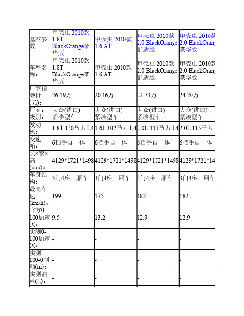 甲壳虫2010款