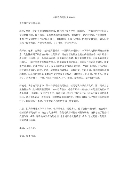 幸福看得见作文800字_1完美版