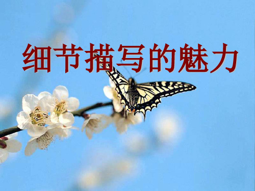初中作文指导细节描写的魅力ppt1
