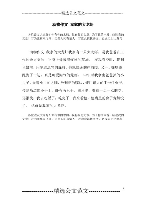 动物作文 我家的大龙虾