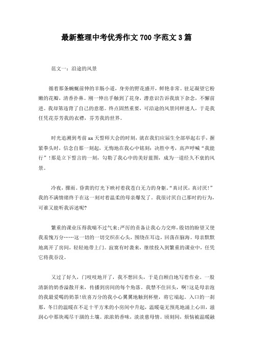 最新整理中考优秀作文700字范文3篇