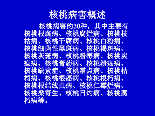 核桃病害及防治