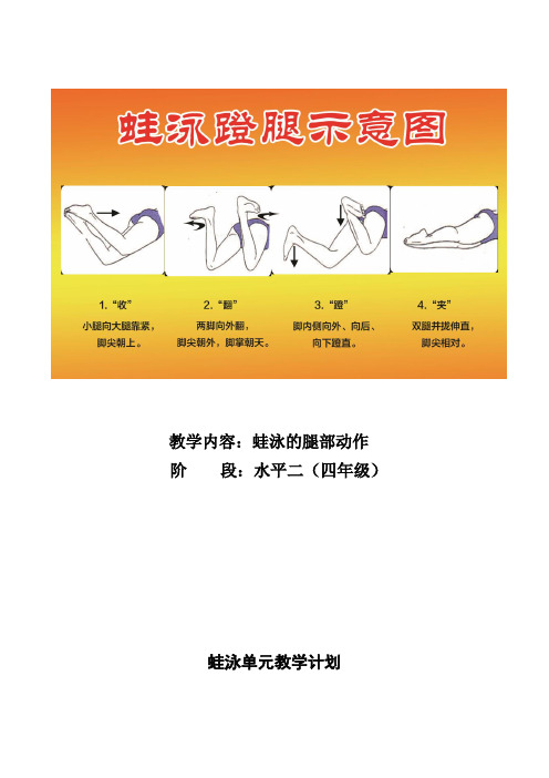 新人教版三至四年级体育下册《体育运动技能 游泳(供选用)  2.蛙泳腿部动作》公开课教案_20