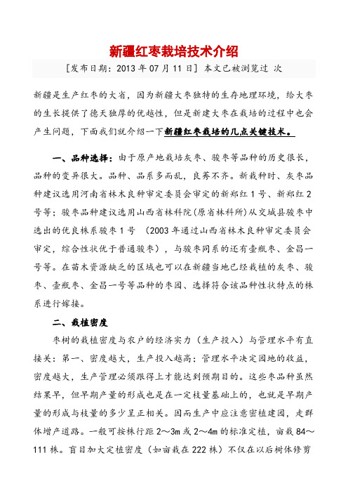 新疆红枣栽培技术介绍