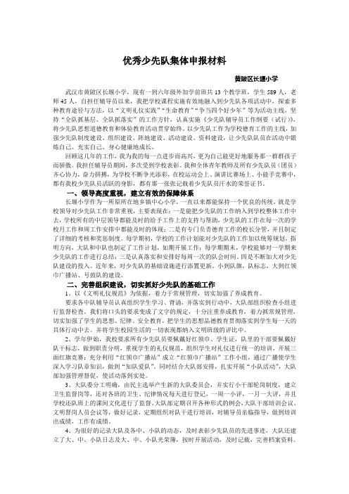 长小雏鹰大队申报材料