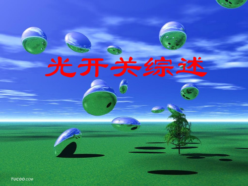 光开关