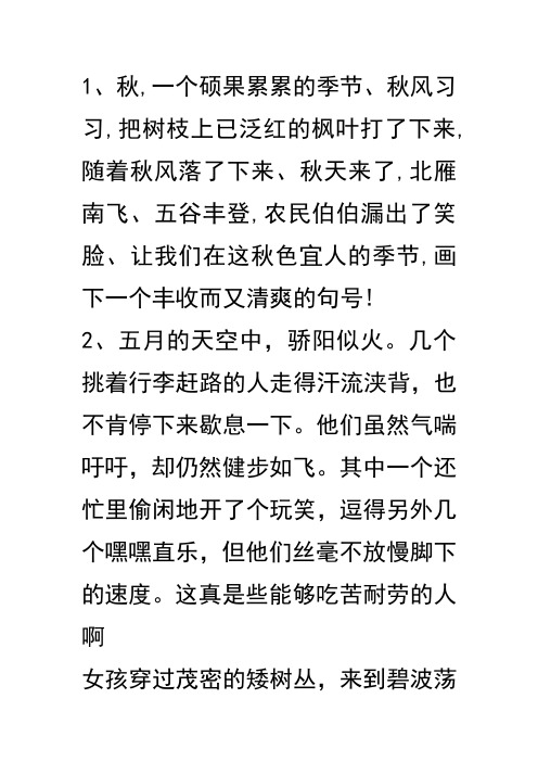 五个成语一段话