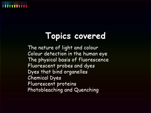 What is Fluorescence - Coil线圈是荧光33页PPT文档