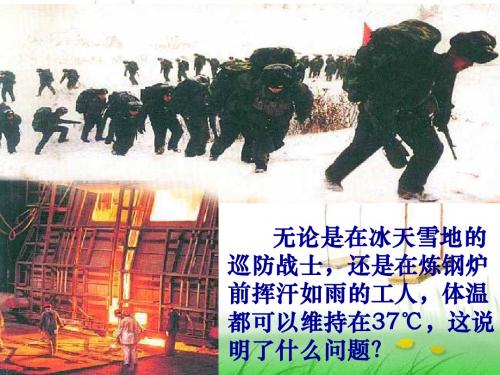 人体的内环境与稳态